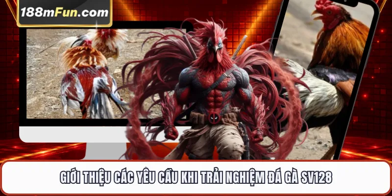 Giới thiệu các yêu cầu khi trải nghiệm đá gà SV128